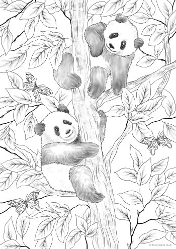Pandas â favoreads coloring club