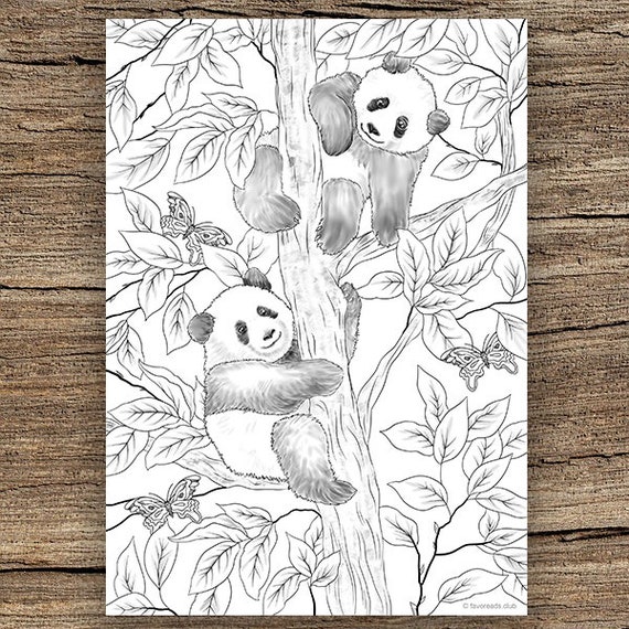 Pandas printable adult coloring page from favoreads coloring book pages for adults and kids coloring sheets coloring designs download now