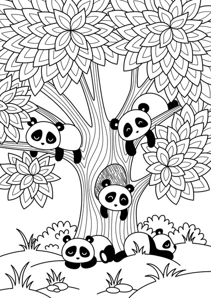 Adult panda coloring pages images stock photos d objects vectors