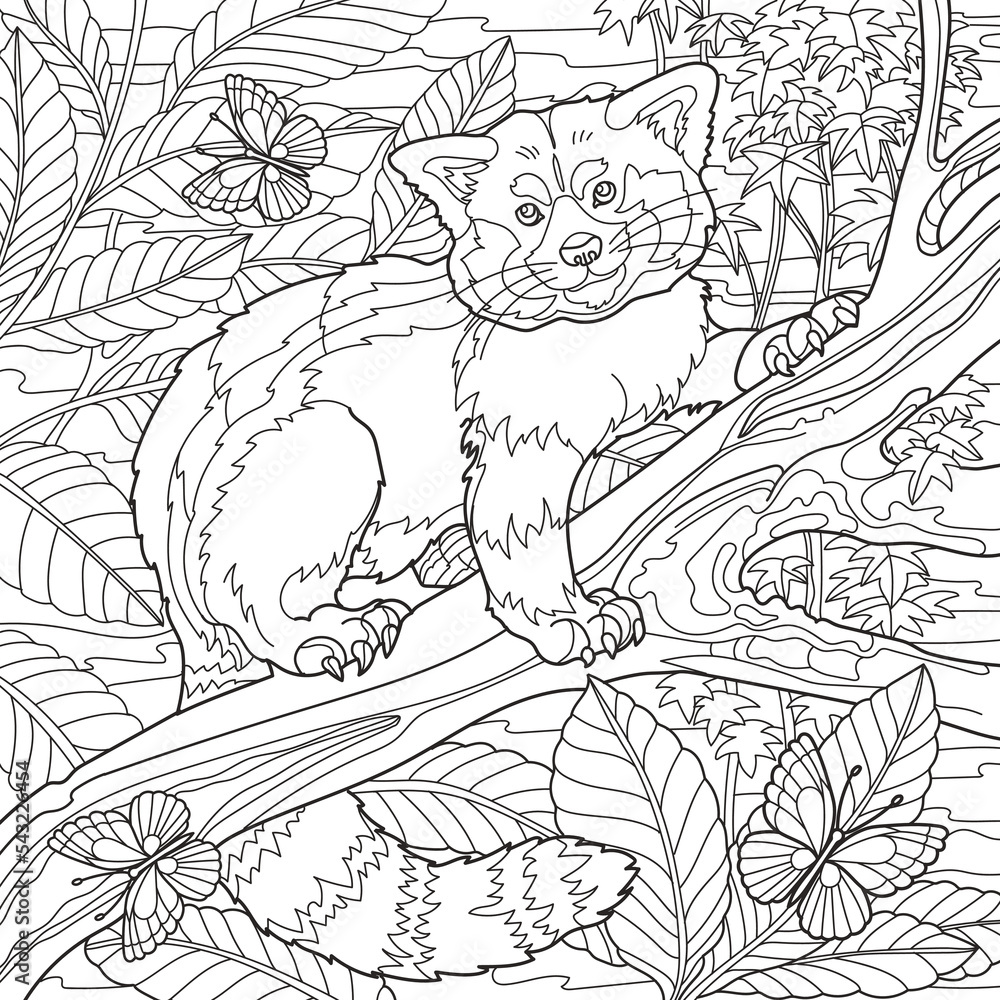 Coloring page for adults red panda bear sitting on tree vector illustration vector