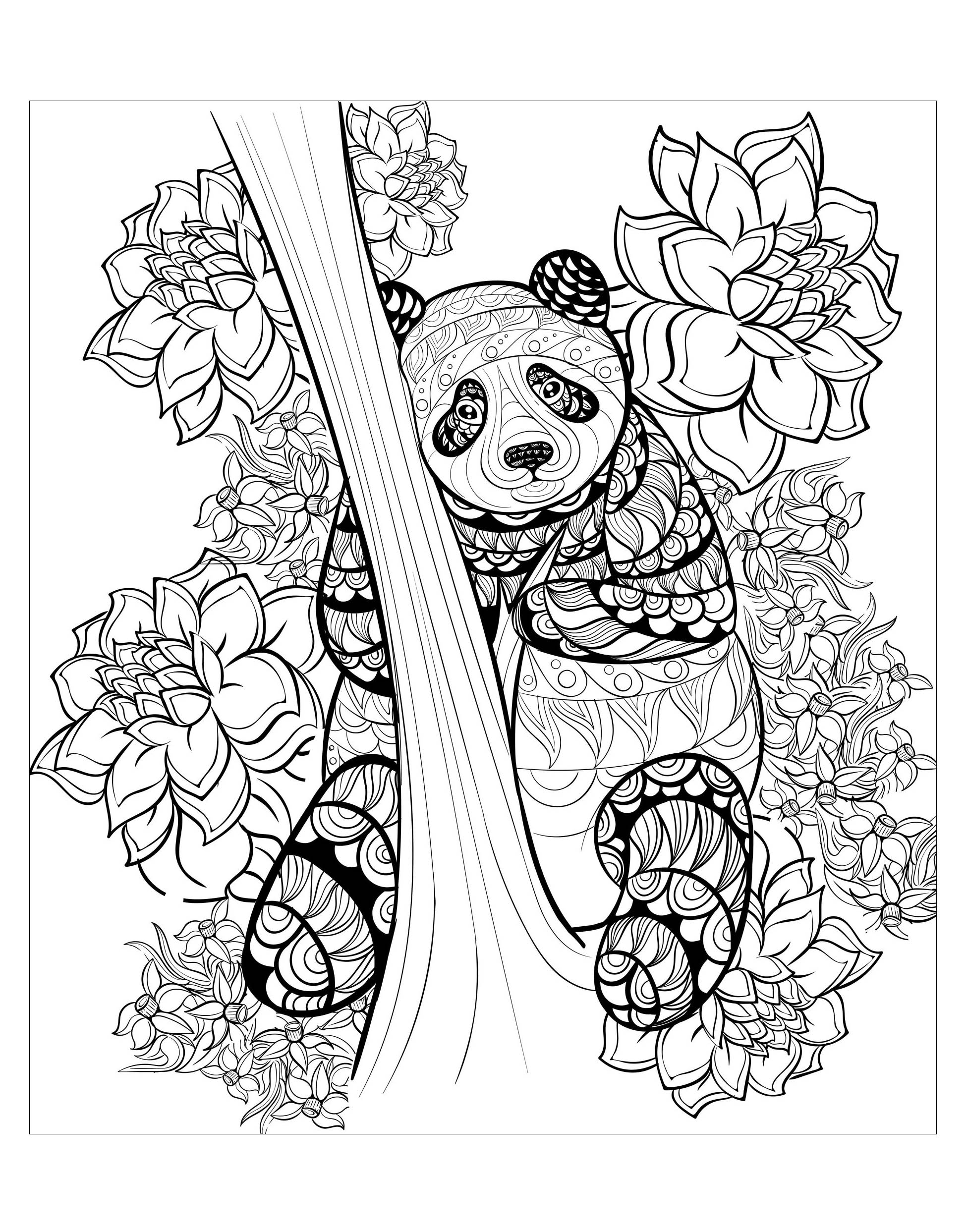 Panda by alfadanz