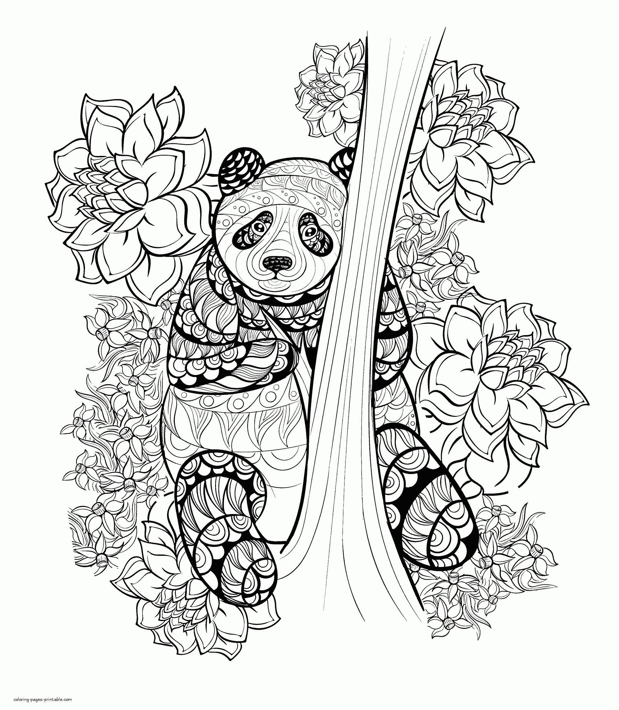 Panda coloring page for adults coloring