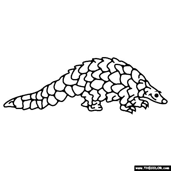 Pangolin coloring page