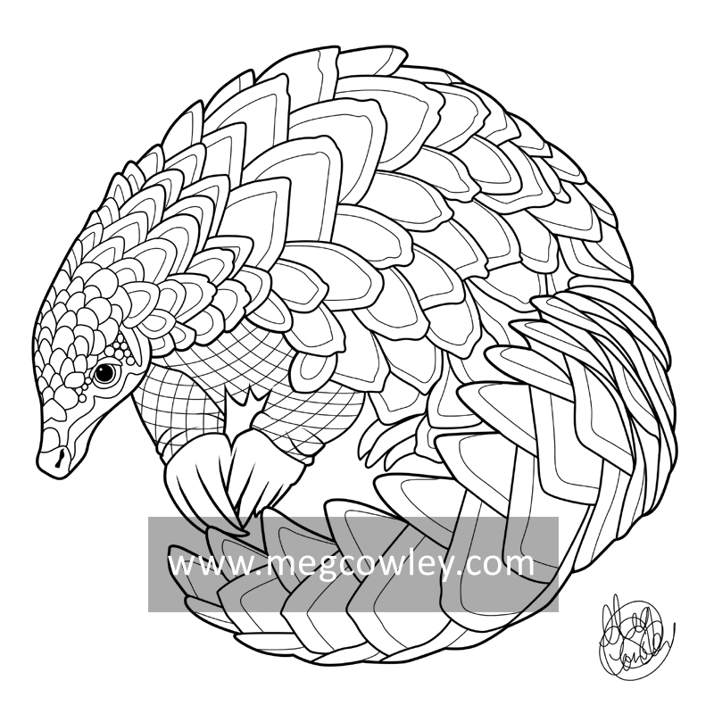 Pangolin the exotic colouring book by megcowley on