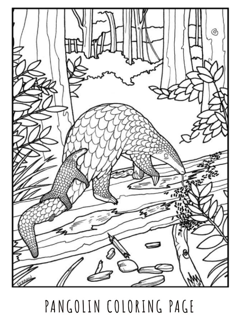 Save pangolins on x with worldpangolinday ing up we thought wed share the lighter side of pangolin conservation with some crafts for children of all ages books coloring pages videos jump on