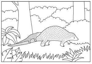 Colouring rachel l shaw