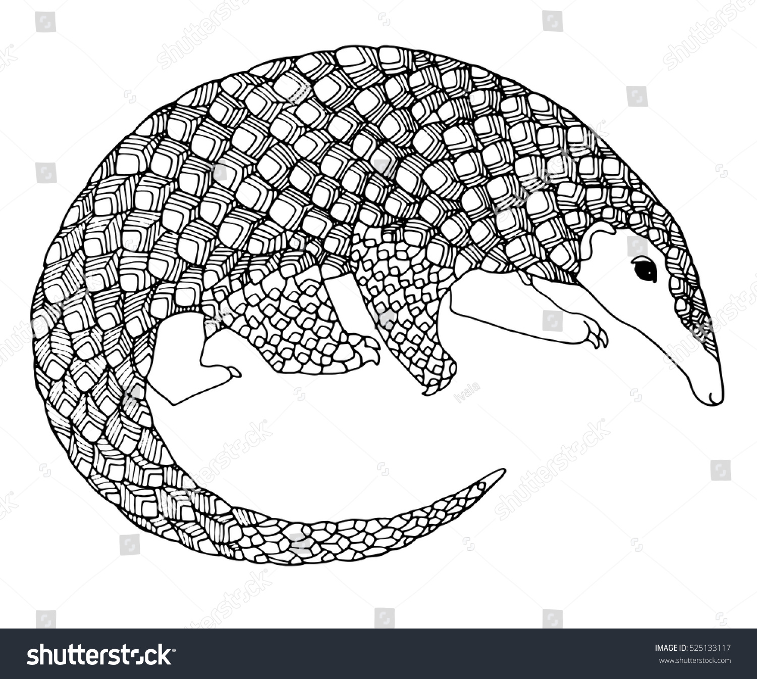 Zentangle pangolin unusual page adult coloring stock vector royalty free