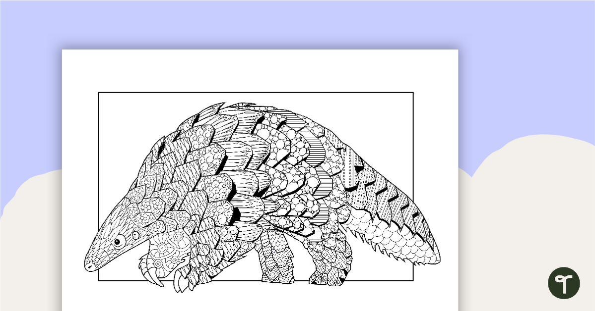 Pangolin mindful coloring sheet teach starter