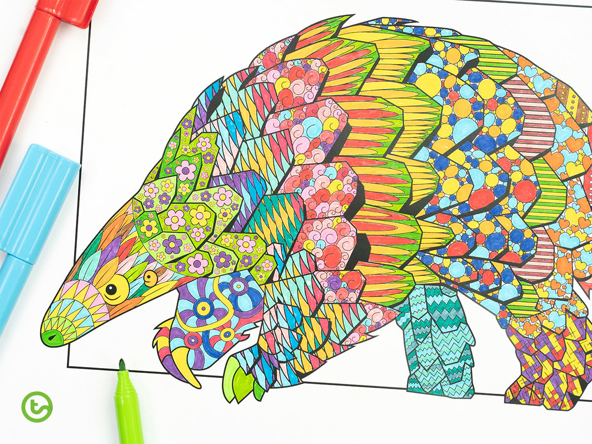 Pangolin mindful coloring sheet teach starter