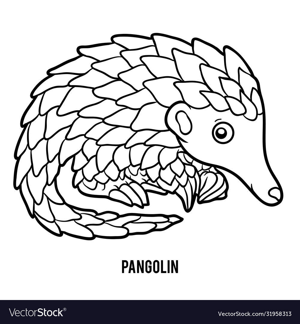 Coloring book pangolin royalty free vector image