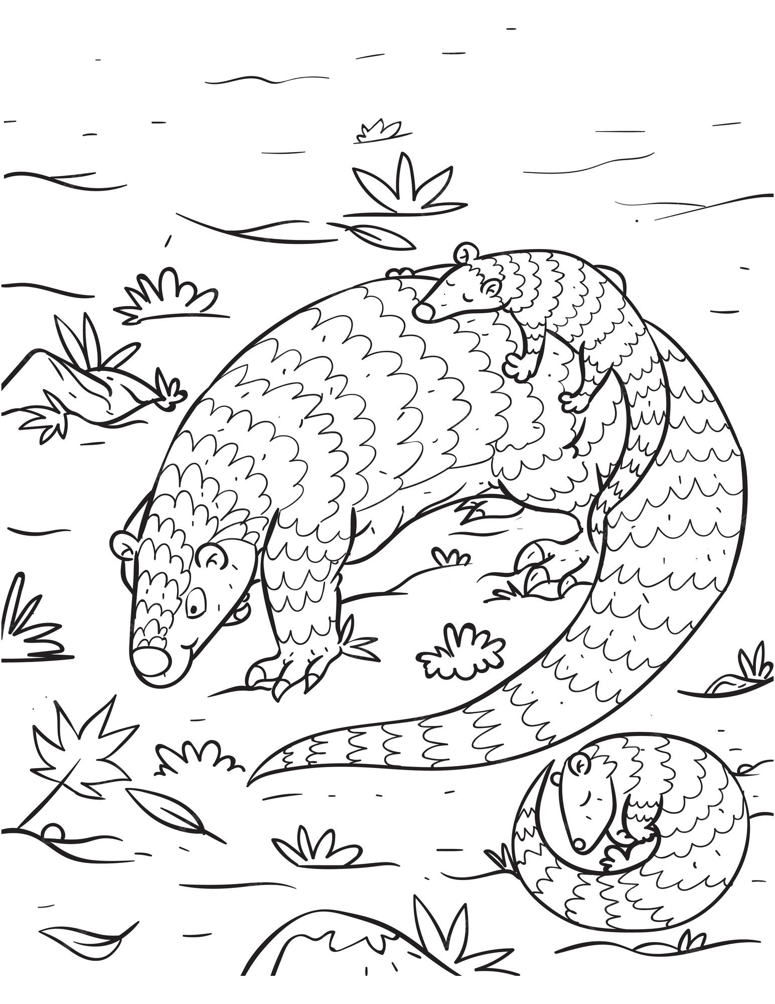 Premium vector beautiful children coloring pages and coloring book for kids and adult with pangolin with pangopups