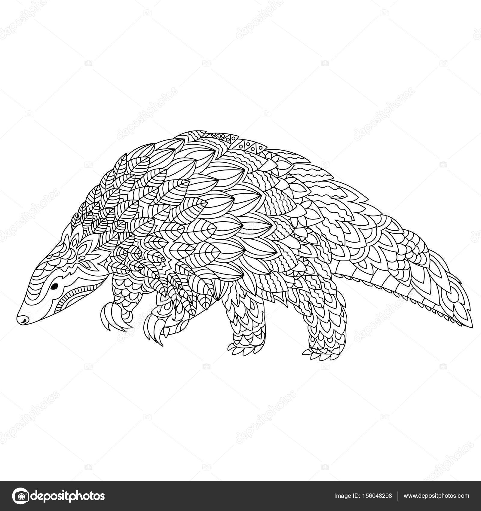 Hand drawn doodle illustration of pangolin stock vector by alliesinteract
