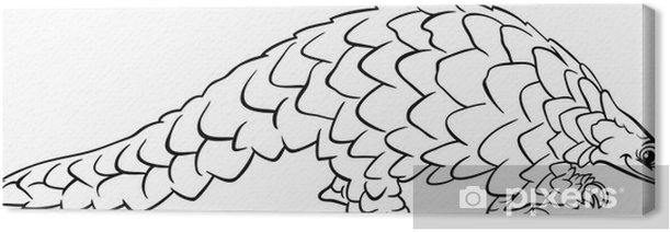 Canvas print pangolin animal cartoon coloring page