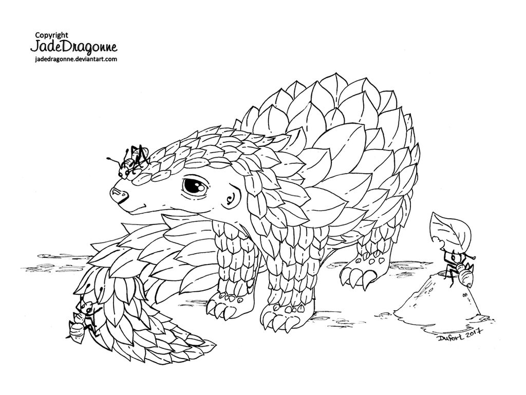 Pangolin