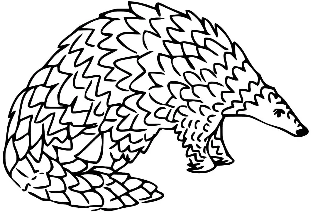 Pangolin malvorlagen