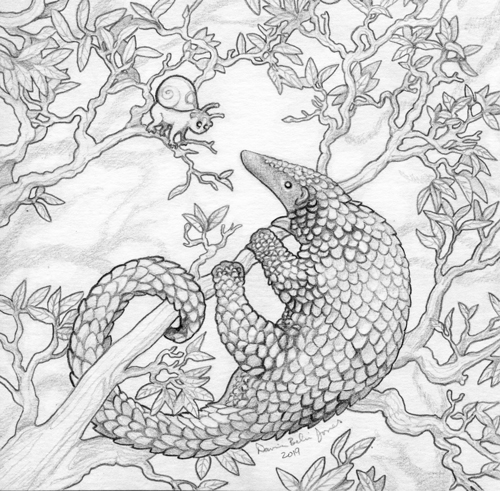 Pangolin â familiar oddlings