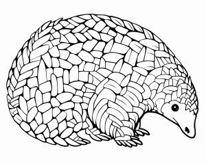 Pangolin pages explore the unique world of pangolins with creative printables