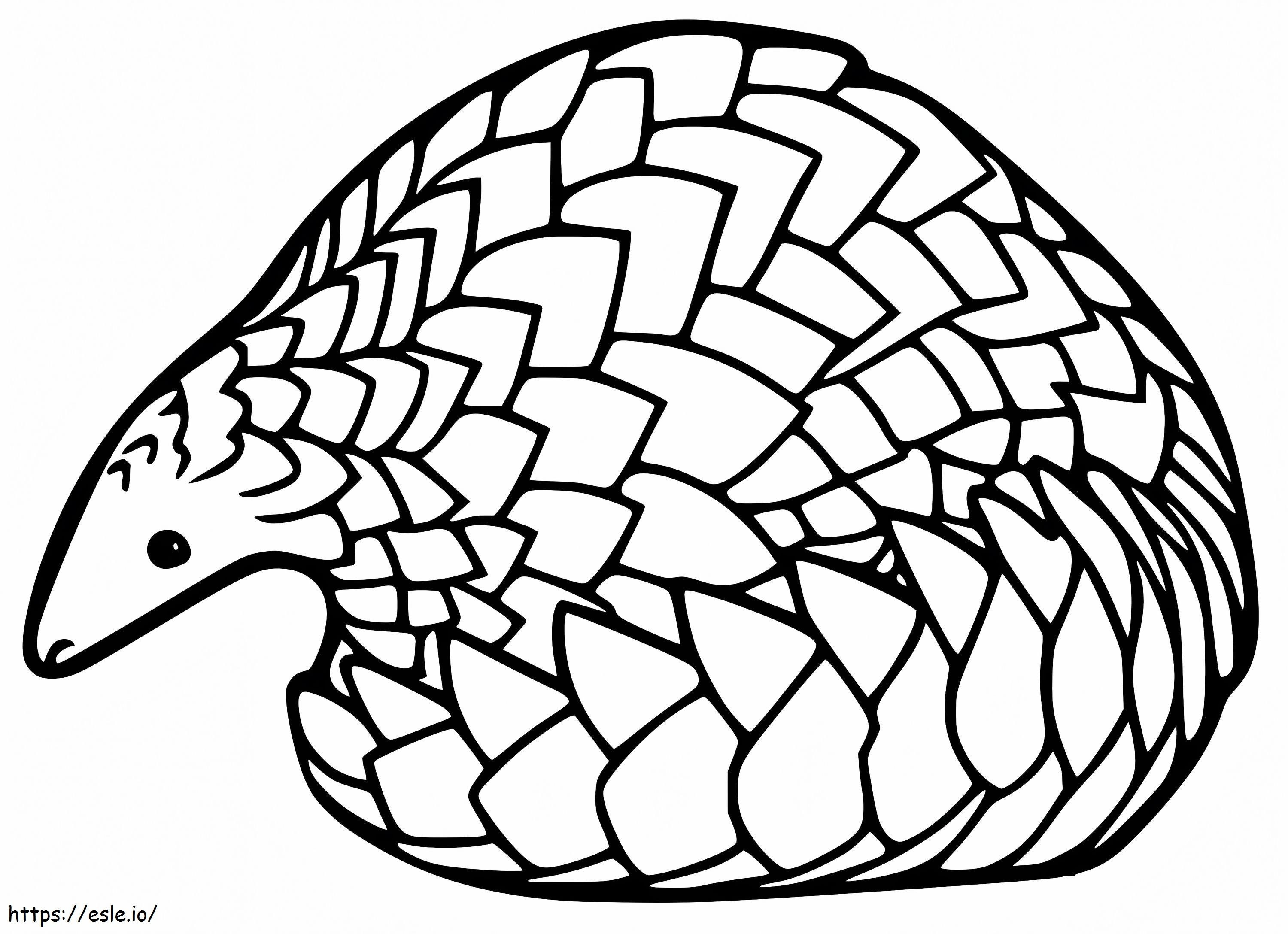 Little pangolin coloring page