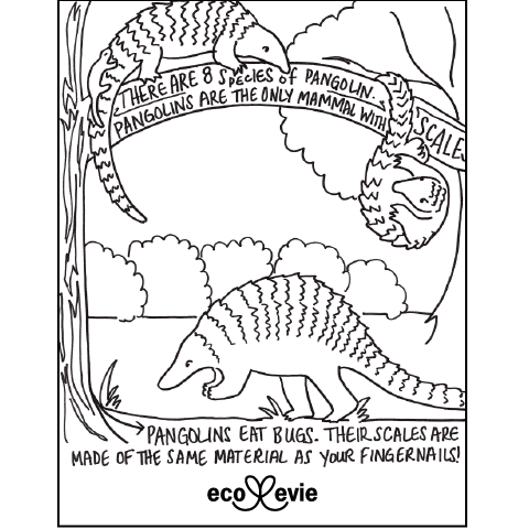 Animal coloring pages â