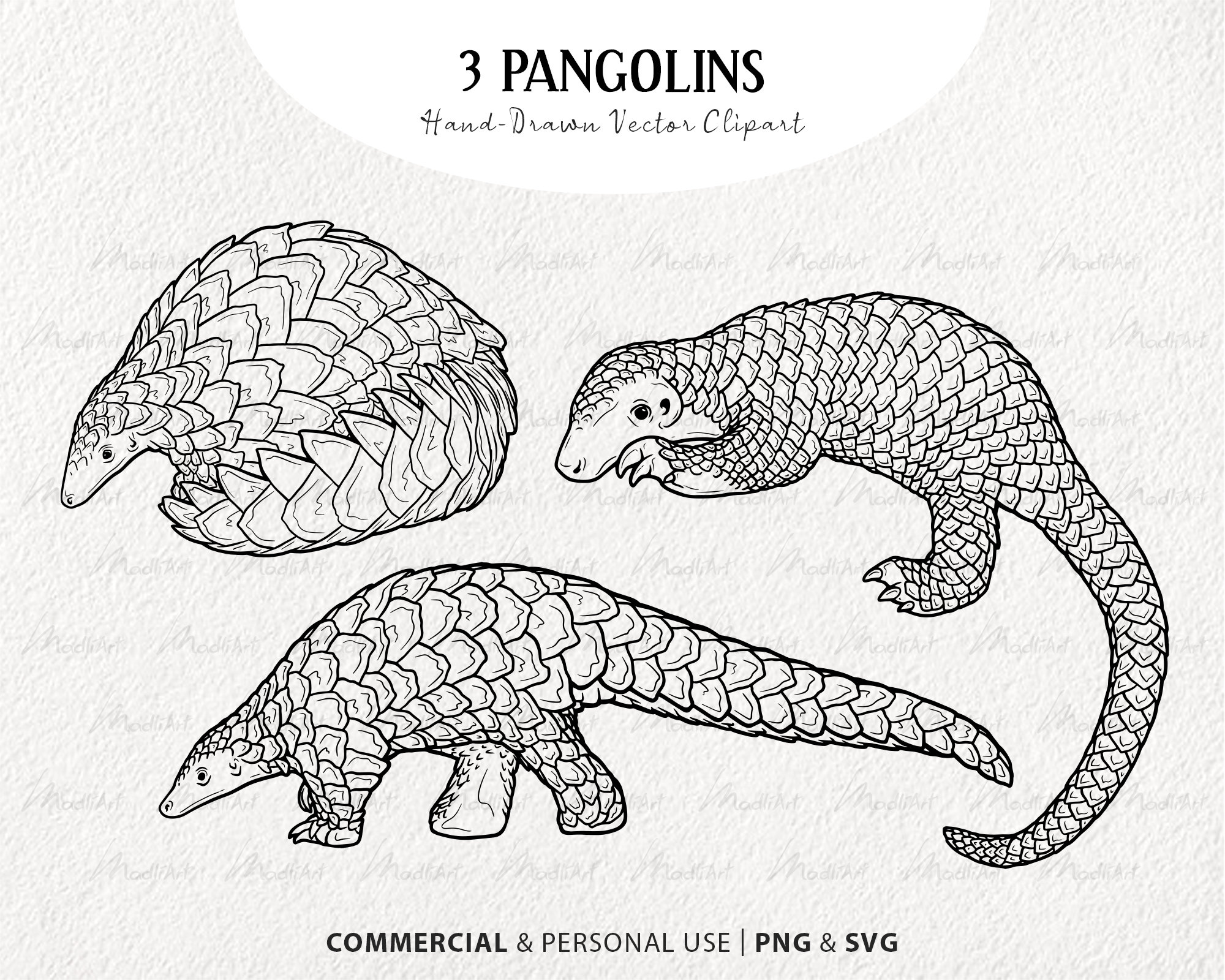 Pangolin vector clipart digital endangered animal artwork