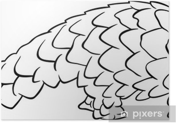 Poster pangolin animal rtoon coloring page