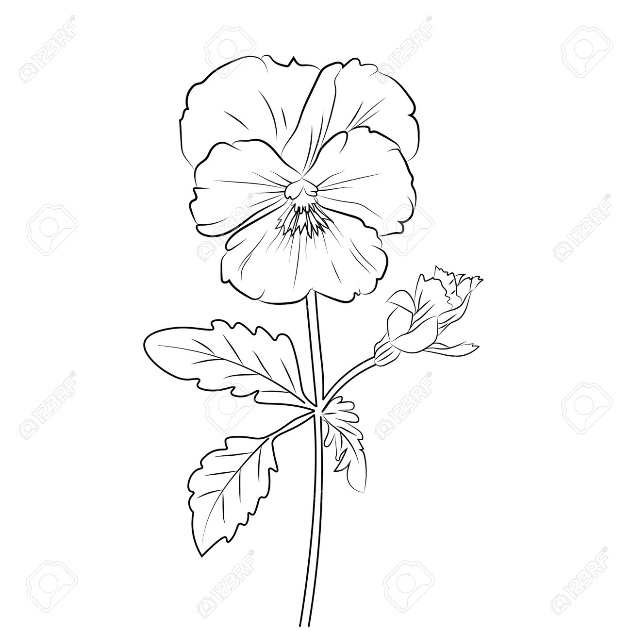 Pansy flower line art flower coloring pages for adults pretty flower coloring pages hand