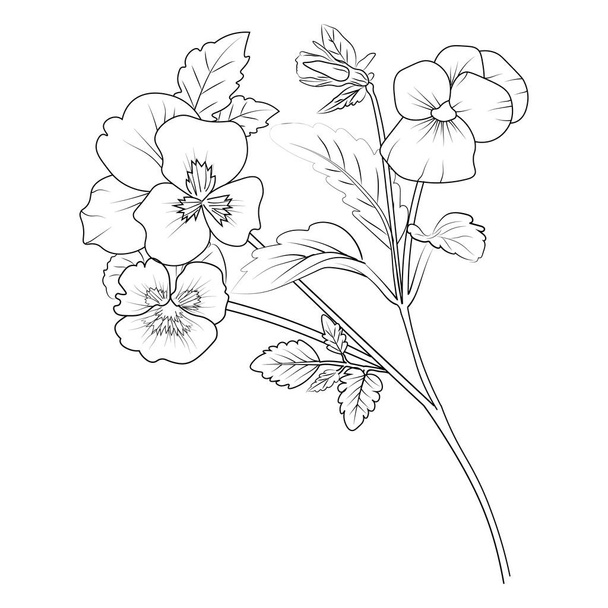 Pansy flowers free stock vectors