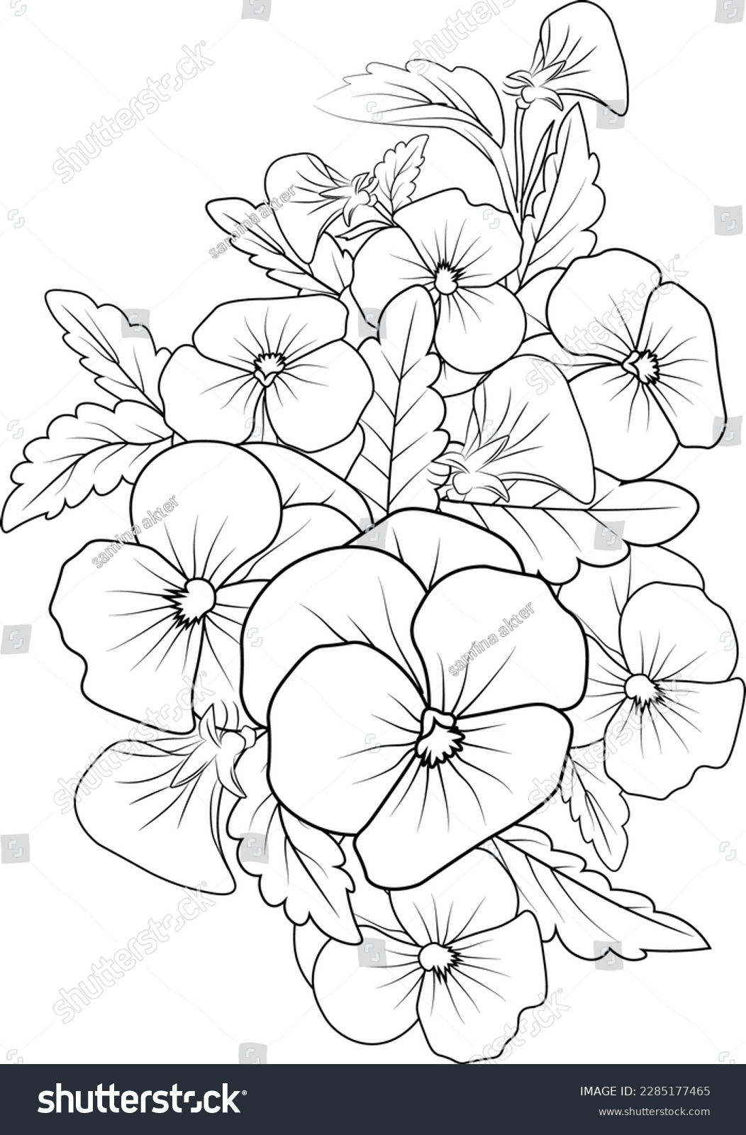 Pansy flowers illustration coloring page simplicity stock