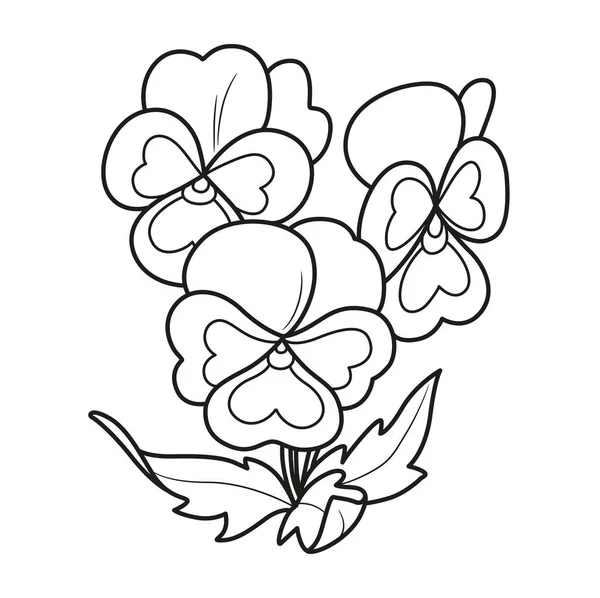 Pansy flowers coloring book linear drawing isolated white background stock vector by yadviga