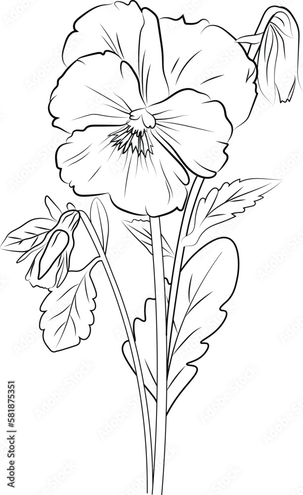 Cute kids coloring pages easy pansy flower drawing pansy flower black and white illustration pansy flower outline pansy flower vector art simple flower drawing vector