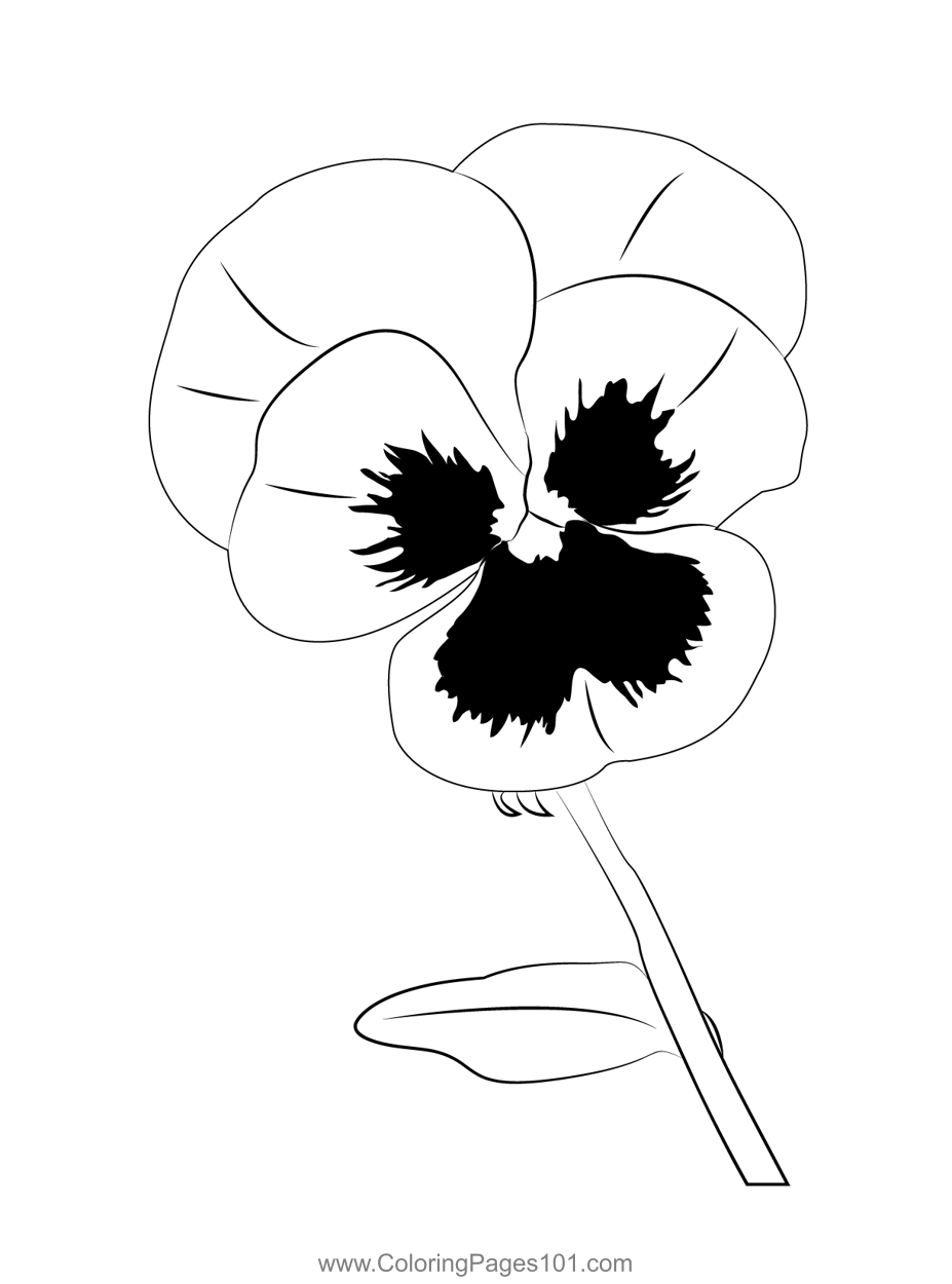 Pansy coloring page for kids