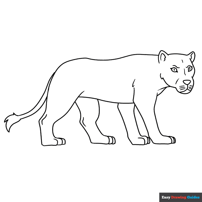 Lioness coloring page easy drawing guides