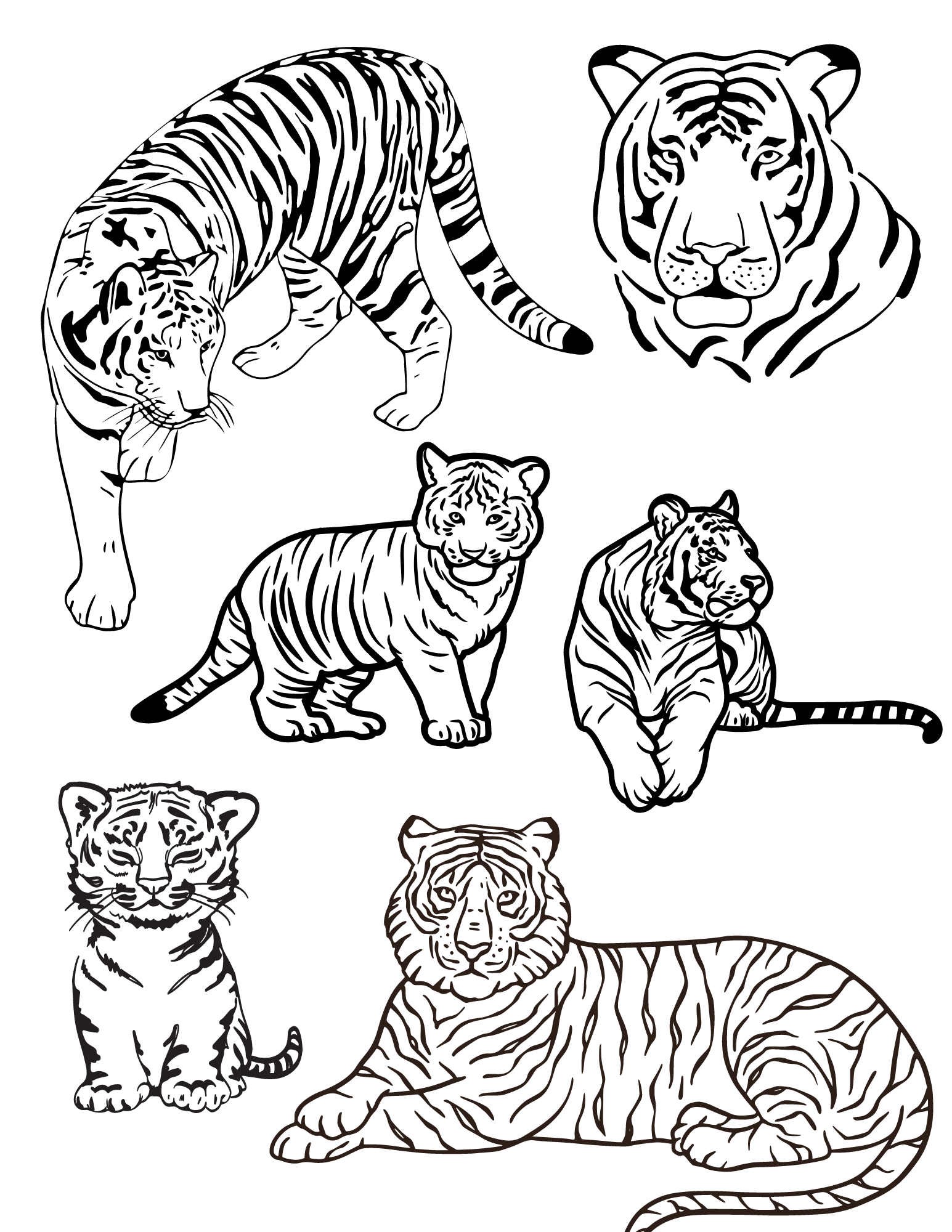 Terrific tiger coloring pages for kids and adults