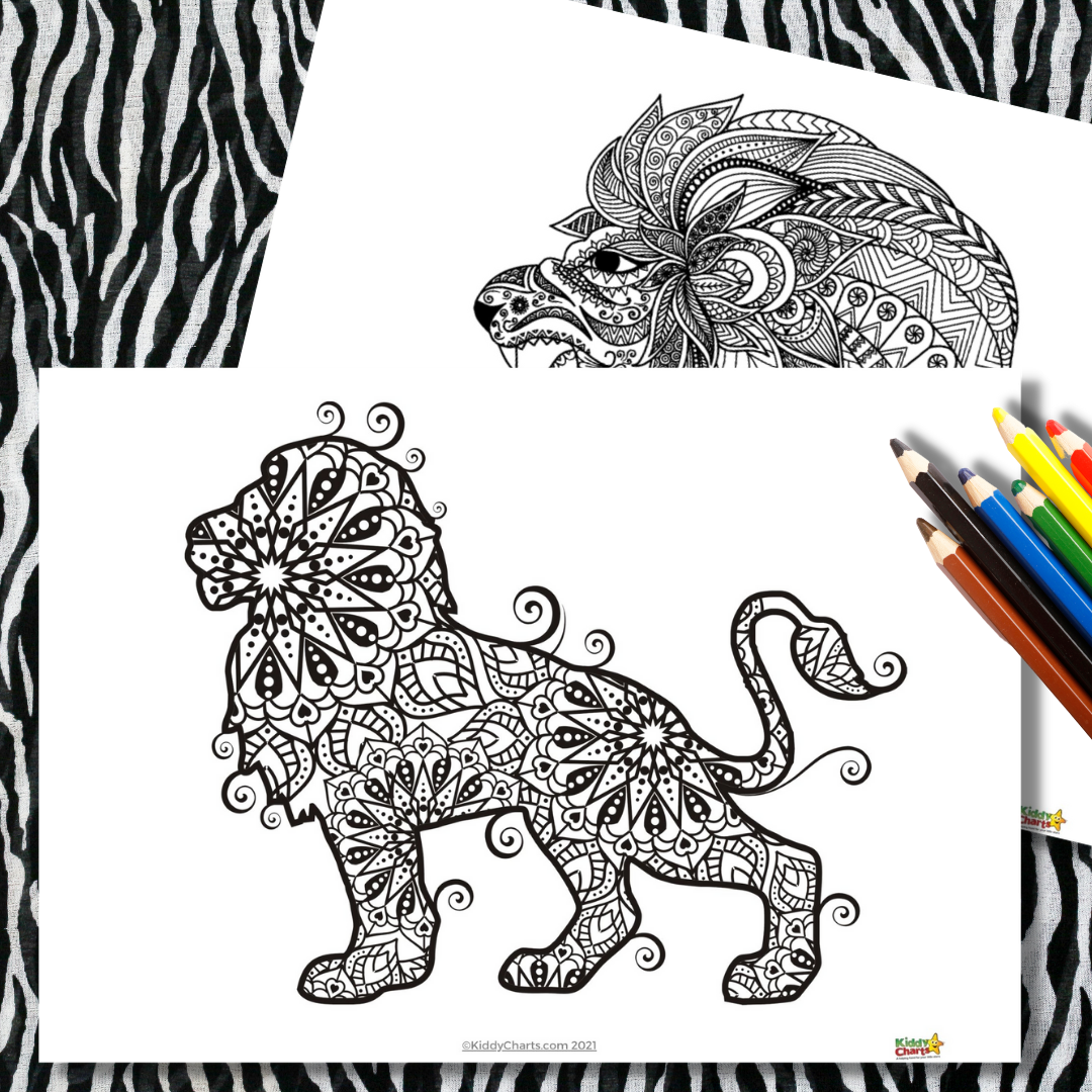 Lion coloring pages lion mandala