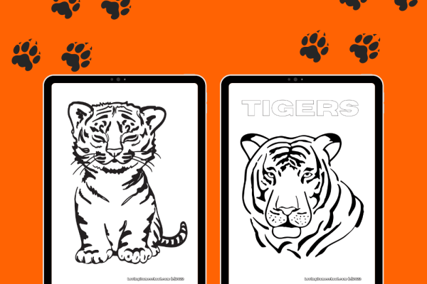 Tigers archives