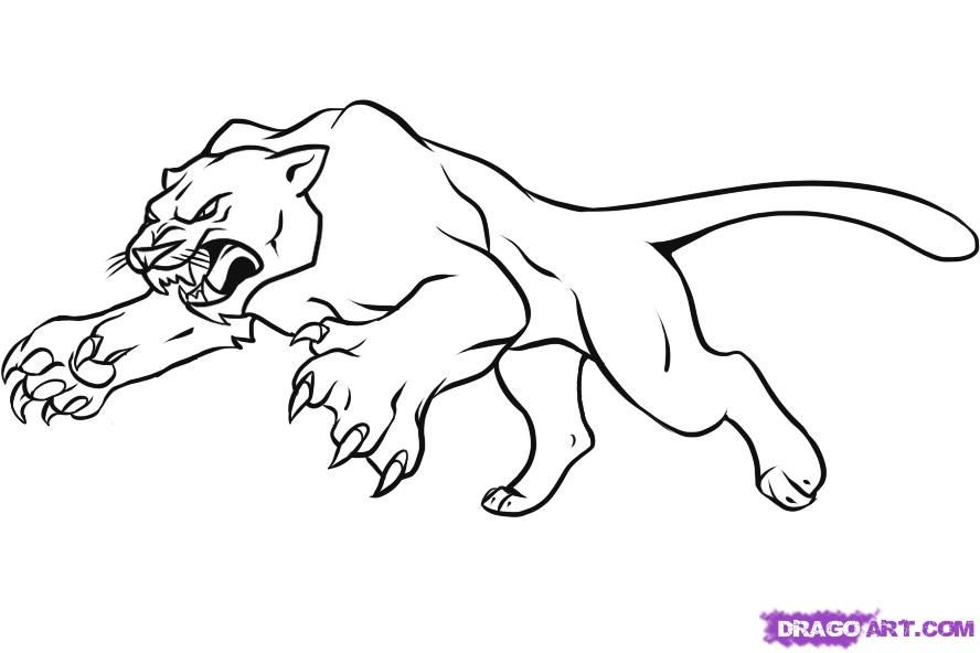 How to draw a panther step by step rainforest animals animals black panther drawing animal loring pages panther pictures