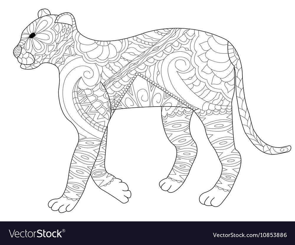 Panther coloring for adults royalty free vector image
