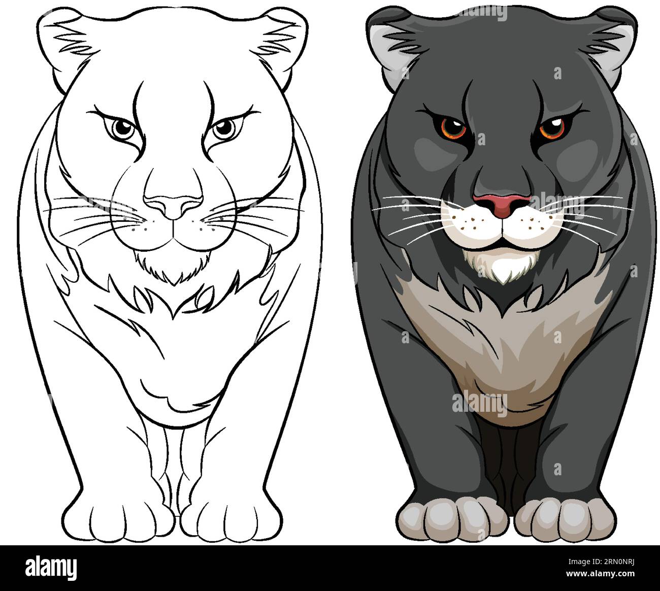 Isolated vector illustration of a black panther walking for coloring pages stock vector image art