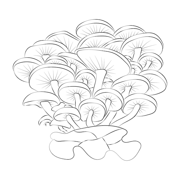 Premium vector mushroom coloring pages premium vector