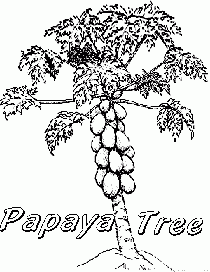 Papaya coloring pages