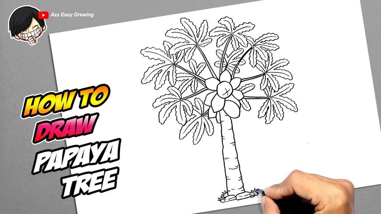 How to draw papaya tree