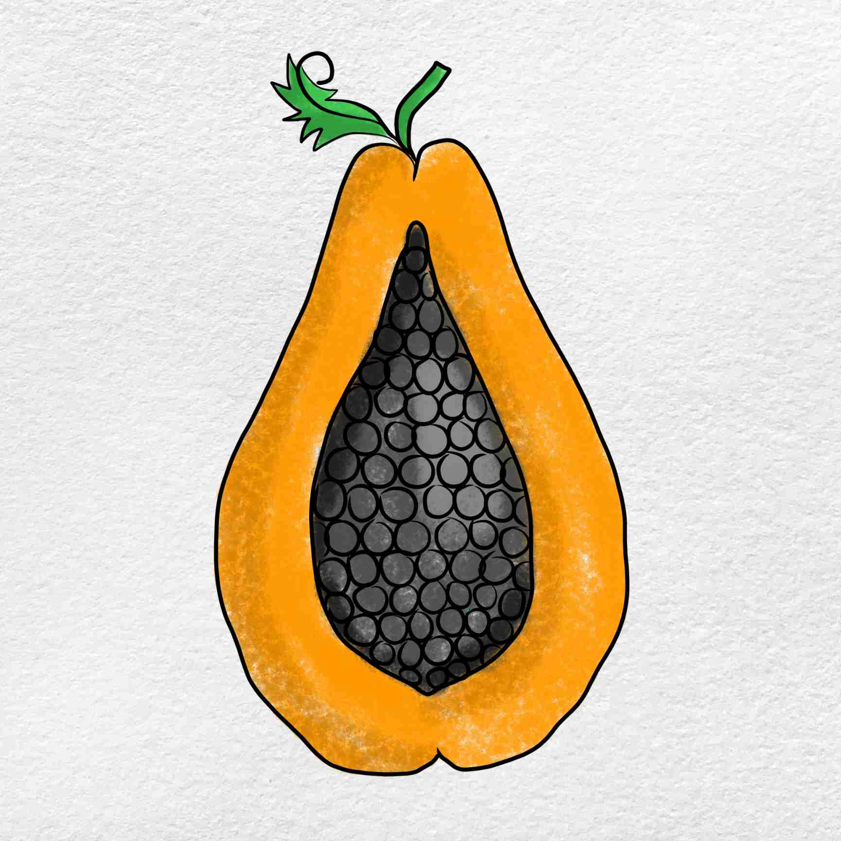 Papaya drawing