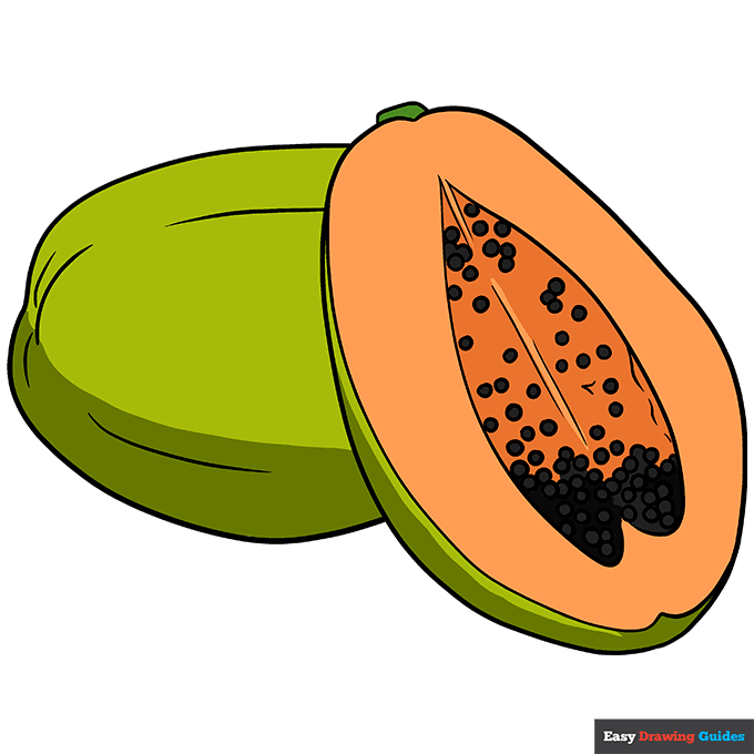 How to draw a papaya