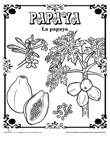 Papaya in spanish worksheet education coloring pages spanish fruits and vegetables