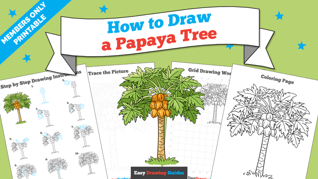 How to draw a papaya tree