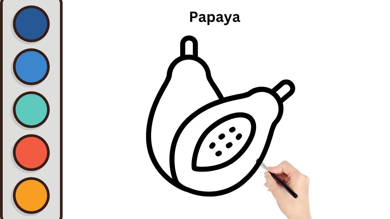 How to draw a papaya fruit papaya drawing painting and coloring for kids and toddlers