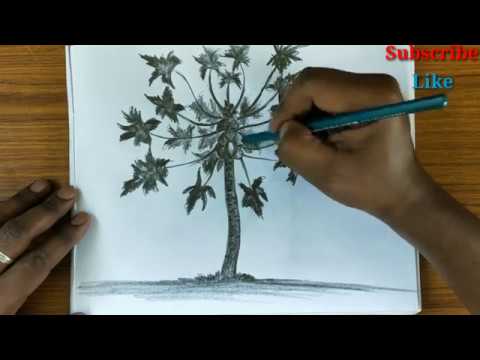 Papaya tree drawing for beginners step by step papaya tree drawing