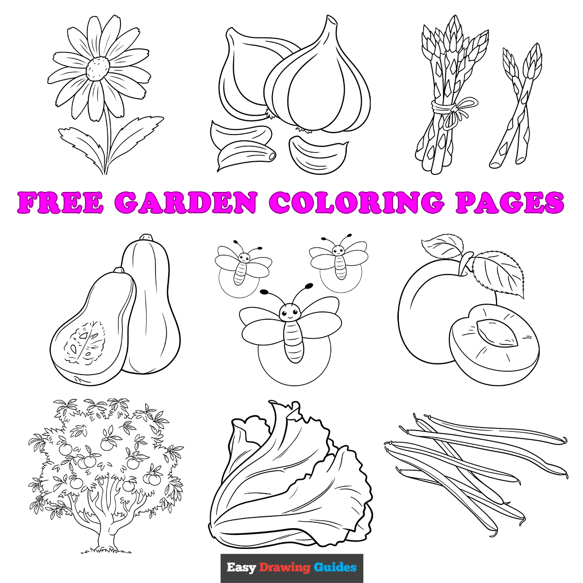 Tree drawings easy drawing guides