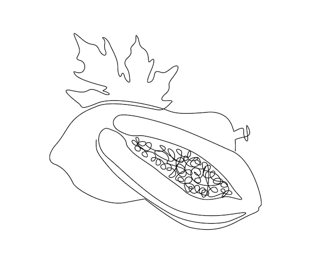 Carambola coloring page vectors illustrations for free download