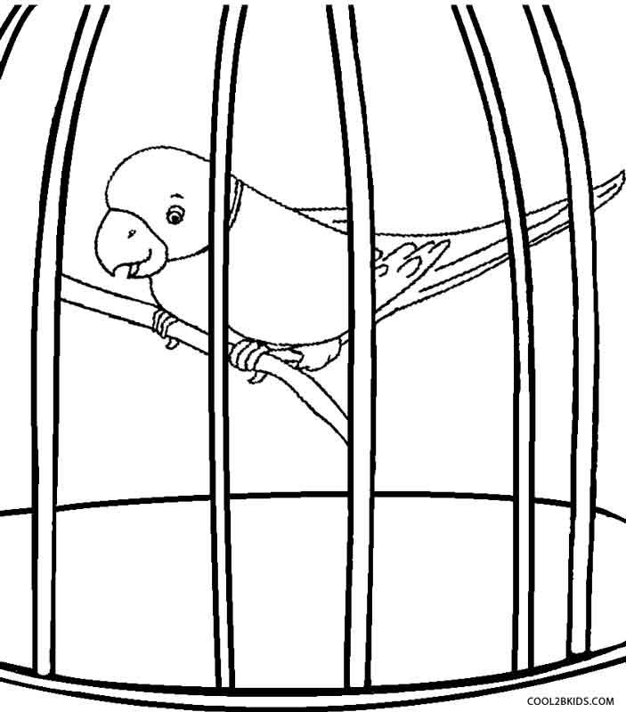 Printable parrot coloring pages for kids coolbkids toddler coloring book bird coloring pages elmo coloring pages